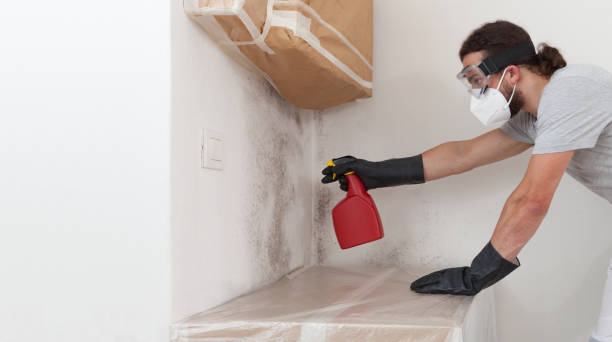 Professional Attic Mold Removal technician working in Newtown, PA