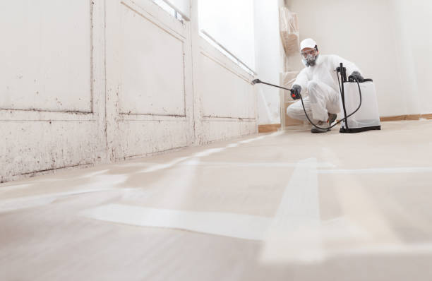 24/7 Emergency Attic Mold Removal experts in Newtown, PA