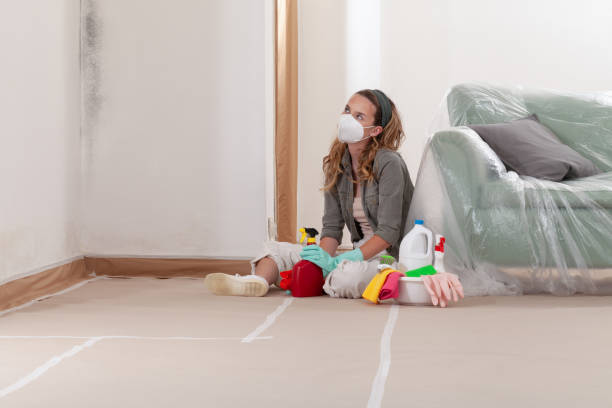 Reliable Attic Mold Removal contractor in Newtown, PA by WQB Mold Removal